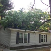 Emergency Tree Removal and Roof Tarp