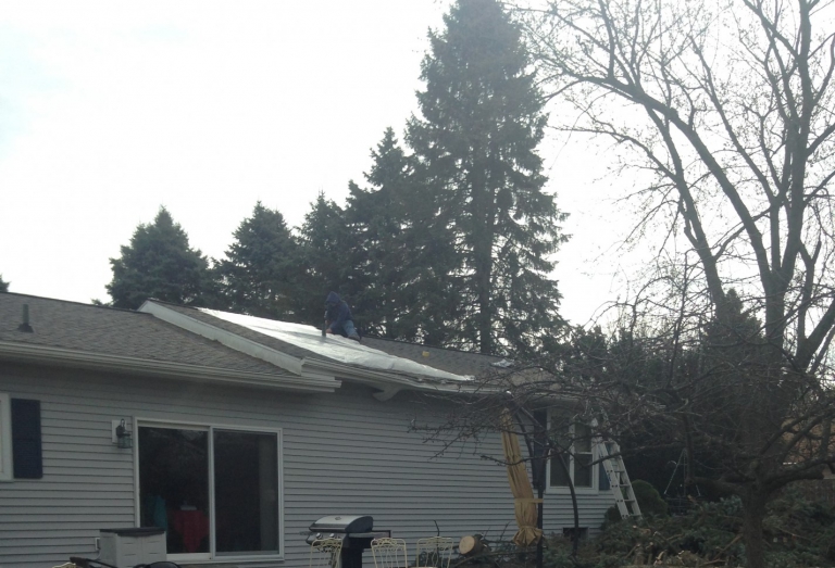 Emergency Tree Removal and Roof Tarp