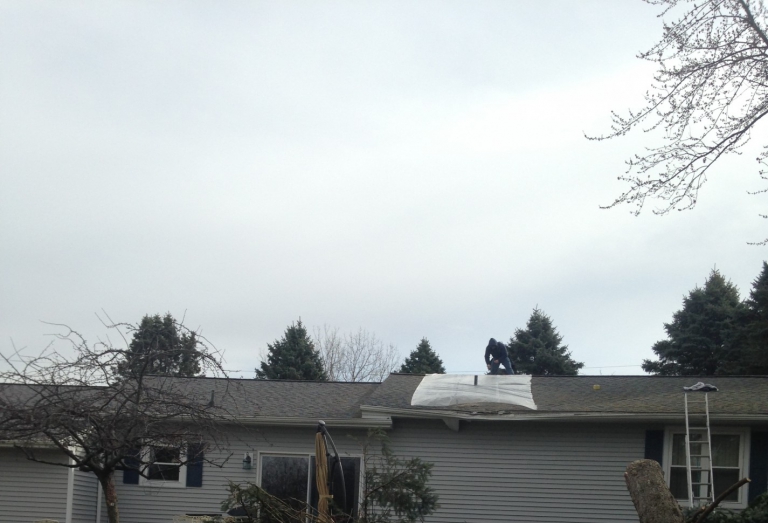 Emergency Tree Removal and Roof Tarp