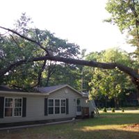 Emergency Tree Removal and Tarp, Before finished roof